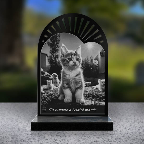 plaque funéraire cœur chaton