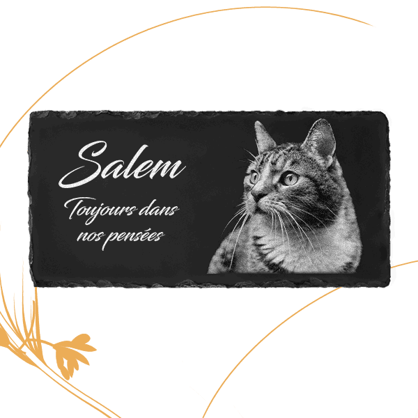 plaque funéraire ardoise chat