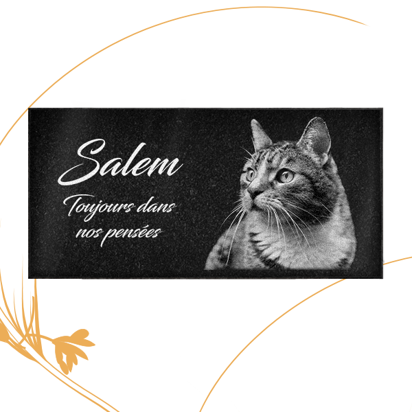 plaque funéraire granit chat